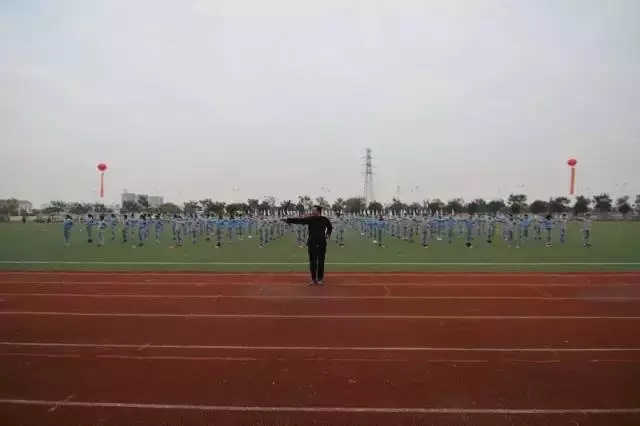 206.webp.jpg